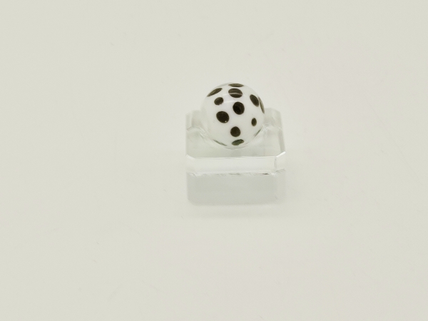 Dalmatian 16mm